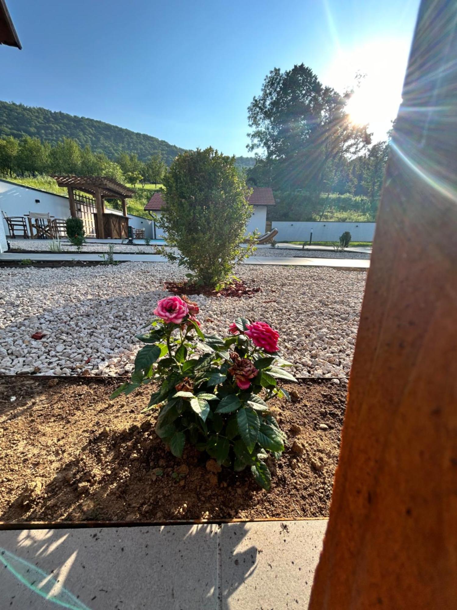 Romantic Lodge Banja Luka Ngoại thất bức ảnh